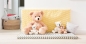 Preview: Steiff 111327 Fynn Teddybär beige 28 cm, Teddy-Bär zum Kuscheln und Spielen für Kinder, aus kuschelweichem Plüsch, Stofftier-Teddy beweglich & waschmaschinenfest