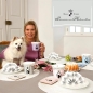 Preview: Life is better with a dog -Taschenschirm schwarz-weiß Princess Dogs Goebel 27050561