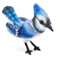 Preview: Folkmanis Fingerpuppe Puppet Mini Blauhäher/ Mini Blue Jay 2785