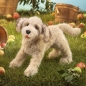 Preview: Folkmanis 3136 Handpuppe weiß Labradoodle Hund Welpe