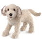 Preview: Folkmanis 3136 Handpuppe weiß Labradoodle Hund Welpe