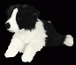 Preview: Border Collie 62cm ohne Schweif Plüschhund Stofftier Hund