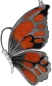 Preview: Halskette mit Schmetterling Anhänger 4.5cm orange in 925 Sterling Silber Rhodiniert mit Zirkonia ZCL878-ML