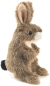 Preview: Folkmanis 2675 Fingerpuppe braun Mini Feldhase Mini Jack Rabbit