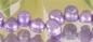 Preview: S101 Perlenstrang  Süsswasser Perlen-Strang offen  Perlen irregular ca 5-8mm  - violett -