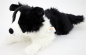 Preview: Border Collie 62cm ohne Schweif Plüschhund Stofftier Hund