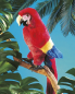 Preview: Folkmanis Scarlet Macaw Hand Puppet roter ARA plüsch