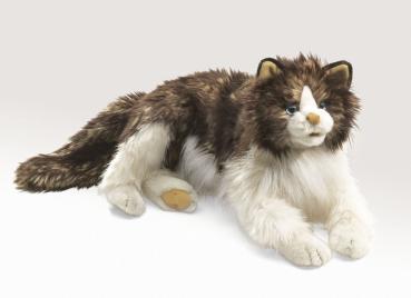 Wuschelige Katze / Ragdoll Cat 2558 Folkmanis Puppet