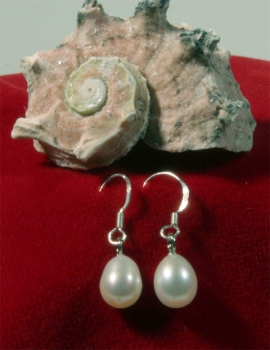 925 Sterling Silber Süßwasser Zucht-Perlen-Ohrringe Hänger - Weiß - ca. 7 mm O11