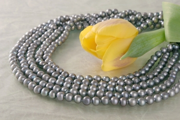 Echtes 5-Reihiges Perlen Collier aus Süsswasser Perlen Stella Silberfarben C02