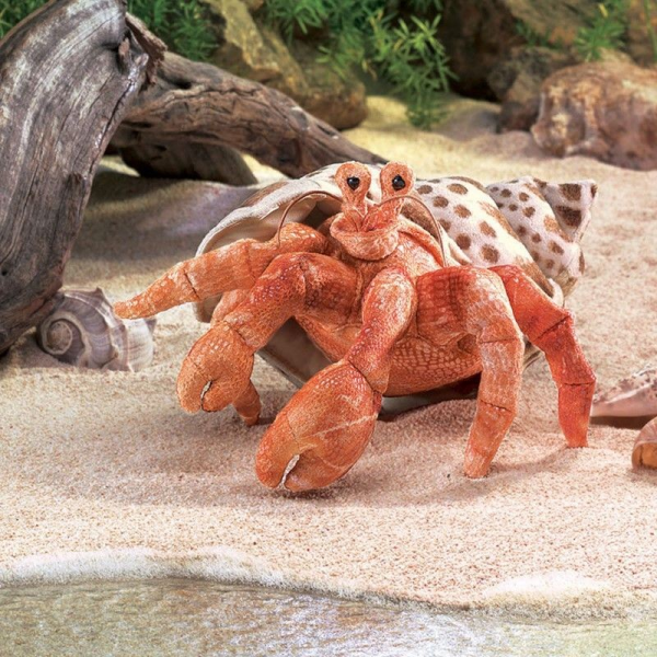 Folkmanis Einsiedlerkrebs 2867 Handpuppe 33cm
