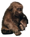 Förster Stofftiere 1750 Gorilla extra groß 80cm Plüshtier Stofftier