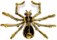 Brosche Spinne goldfarben mit blauem, schwarzen und...