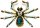 Brosche Spinne goldfarben mit blaume, schwarzen und weissen Strass Steinen BR010