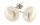 Damen Ohrstecker Ohrringe aus weißen Button-Shape Süsswasser Zuchtperlen Stecker aus 925 Sterling Silber Stecker Perlengröße 10-11mm