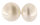 Damen Ohrstecker Ohrringe aus weißen Button-Shape Süsswasser Zuchtperlen Stecker aus 925 Sterling Silber Stecker Perlengröße 10-11mm
