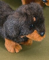 Förster Stofftiere 1553 Kurzhaardackel Mini 16cm...