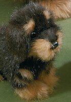 Förster Stofftiere 5506 Rauhaardackel Langhaar mini...