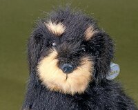 Förster Stofftiere 5518 Rauhaardackel Langhaar...