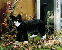 Kösener 3960 Katze Mautz stehend schwarz/weiß...