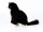 Kösener 4483 - Katze Mausi
