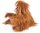Folkmanis Baby Orang-Utan Orangutan Handpuppe Handpuppenspiel