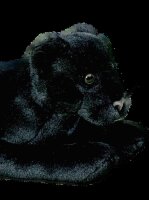 Förster Stofftiere 7420 großer Panther 35 cm...
