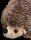 Förster Stofftiere 1034 Igel mittel 23cm Plüschtier