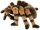 Kösener Rotknievogelspinne "Aggi" F4151 22 cm schwarz/braun Plüschvogelspinne