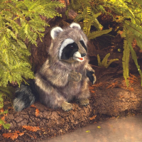 Folkmanis 3075 Raccoon Hand Puppet Waschbär