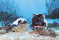 Folkmanis 3067 Große Muschel / Giant Clam Puppet /...