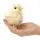 Folkmanis - Puppets - 2721 - Puppet and Theatre - Tiny Chick Kücken