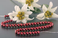 P057  Echter-Perlen-Strang Zuchtperlen offen Rot Burgundy...