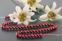 P057  Echter-Perlen-Strang Zuchtperlen offen Rot Burgundy 7-8mm ca.39 cm NEU