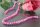 P076 Echter Süßwasser-Perlen-Strang barock 6-7mm 39cm lang offen Pink