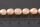 P137 Süsswasser Perlen-Strang ca. 6-7mm softgold ca. 41cm lang oval offen