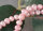 P407 Echter Süßwasser-Perlen-Strang oval 6-7mm 40cm lang offen rosa