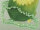 E101 Echter Süßwasser-Perlen-Strang irregular 9-10mm 37cm lang offen hellgrün