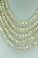 Echtes 5-Reihiges Perlen Collier aus Süsswasser Perlen Stella Weiss C01
