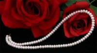 Perlenkette Weiss ca.6-7mm Buttonshape...