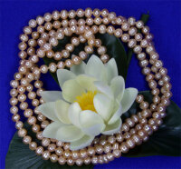 Echte Zucht-Perlenkette rose UVP 299Â¤ ca....