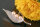 Brosche Süßwasser P297 Zucht Perlen 3-Perlen Lachsfarben 6-7mm Apricot